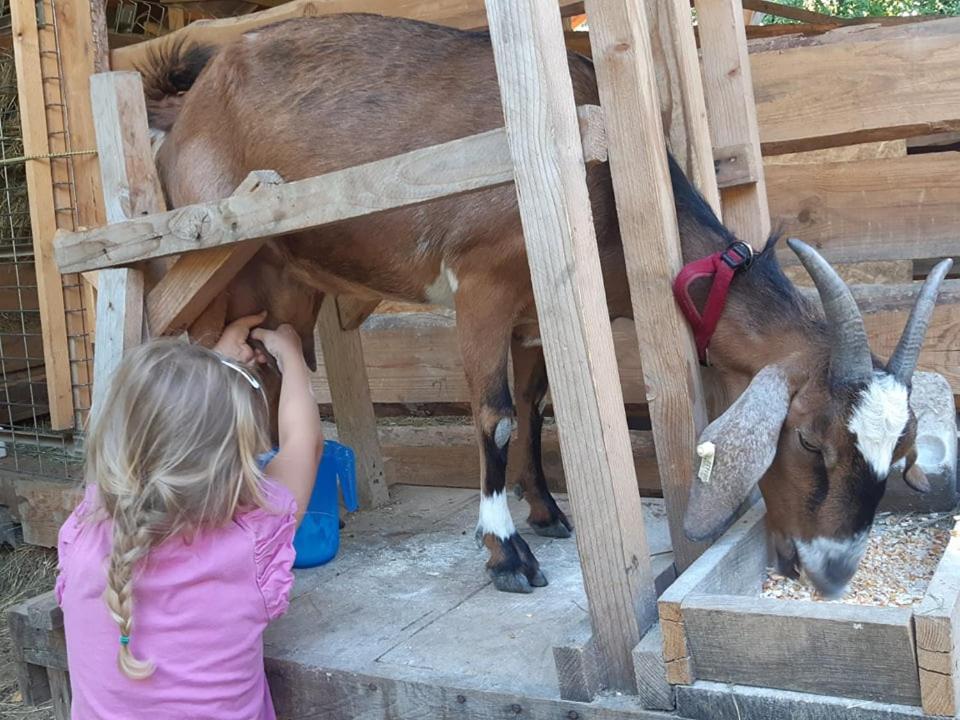 Jurta Az Erdo Mellett Dezsaval-Keresz-Tanya Hotell Pilisszentkereszt Exteriör bild